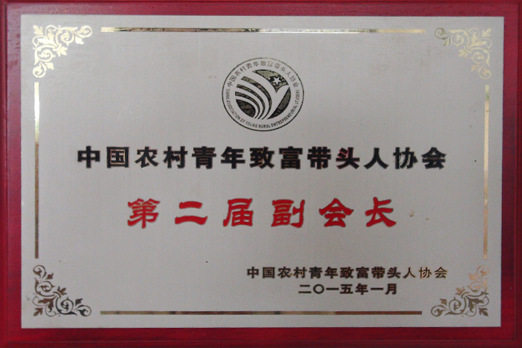 中国农村青年致富带头人协会第二届副会长