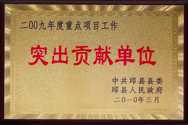 2009年度重点项目工作突出贡献单位