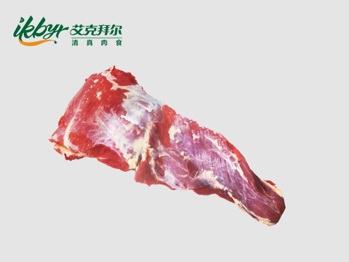 乌拉圭尾龙
