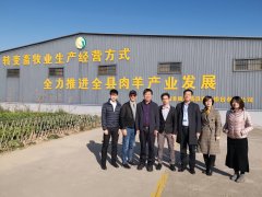 <b>证券公司领导一行到康远考察调研</b>